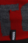 WINTERCAP BIG