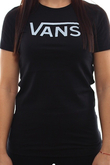 ALLEGIANCE