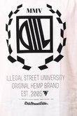 HARVARD