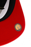 CHICAGO BULLS