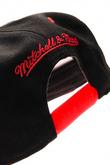 CHICAGO BULLS