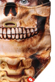 BONES