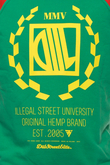 Bluza Diil Reglan Harvard New