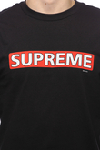 Longsleeve Powell Peralta Supreme