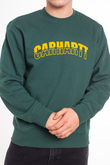 Bluza Carhartt WIP District