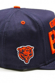 CHICAGO BEARS