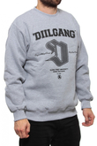 Bluza Dill Uliczny Harvard