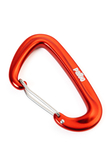 Palto Carabiner