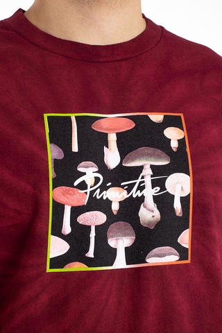 Koszulka Primitive Fungi Box