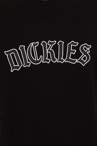 Koszulka Dickies Union Springs