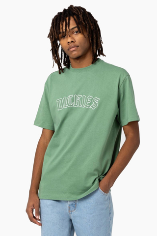 Dickies Union Springs T-shirt