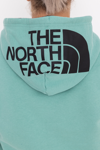 The North Face Seasonal Drew Peak Hoodie