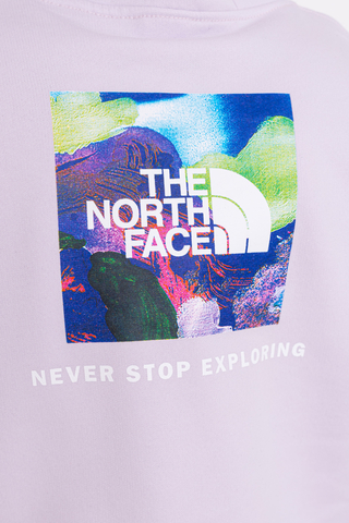 Bluza Z Kapturem The North Face Patch Graphic