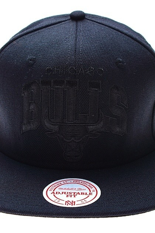 CHICAGO BULLS