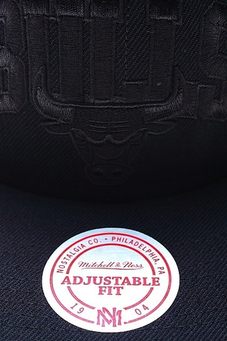 CHICAGO BULLS
