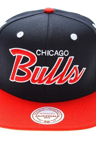 CHICAGO BULLS