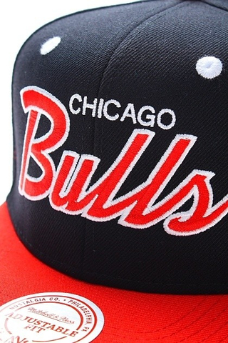 CHICAGO BULLS