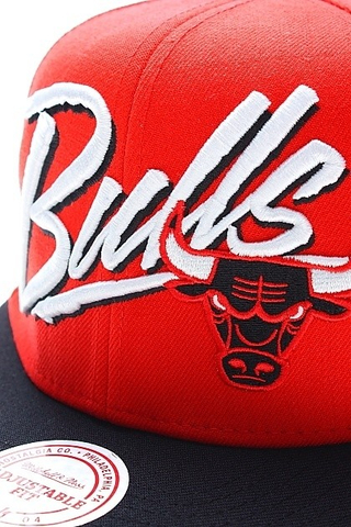 CHICAGO BULLS