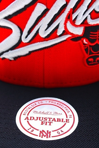 CHICAGO BULLS