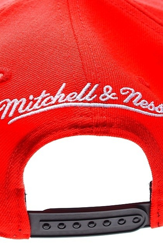 CHICAGO BULLS
