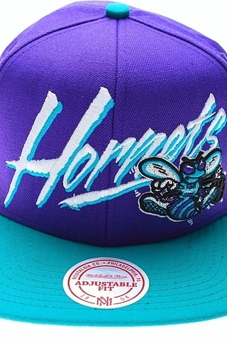 NEW ORLEANS HORNETS