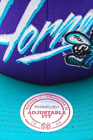 NEW ORLEANS HORNETS