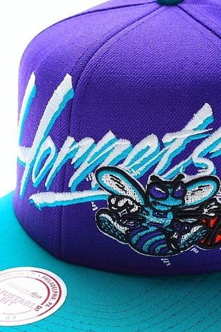 NEW ORLEANS HORNETS