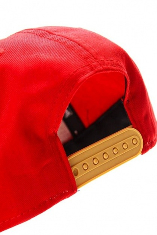 SCRIPT LOGO SAN FRANCISCO 49ERS