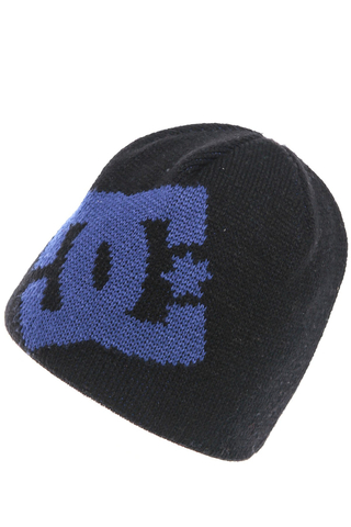 Czapka Zimowa DC Shoes Wane