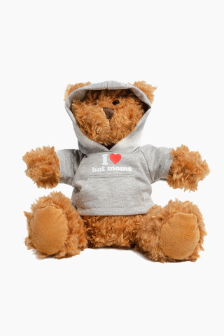 2005 Teddy Bear Plushie