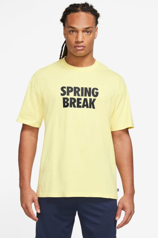 Nike SB Springbreak T-shirt