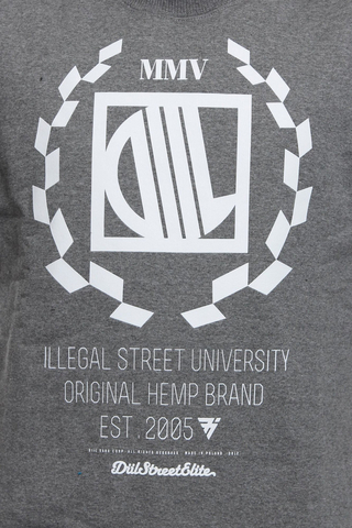 Bluza Diil Harvard New