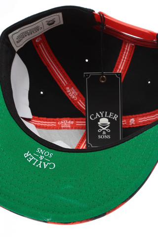 Czapka Cayler and Sons Chicago City