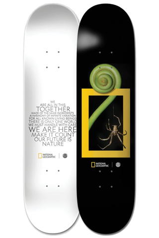Blat Element Net Geo Spider