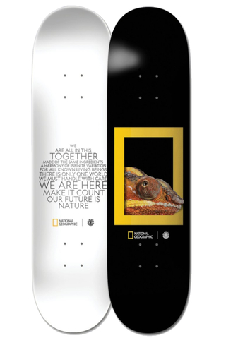Blat Element Net Geo Dragon
