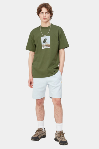 Tričko Carhartt WIP Antleaf
