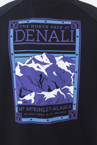 The North Face North Faces T-shirt