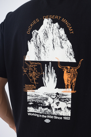 Dickies Pearisburg T-shirt