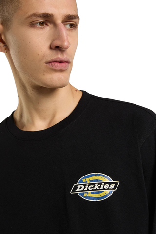 Longsleeve Dickies Nashport