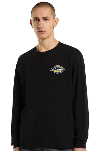 Longsleeve Dickies Nashport