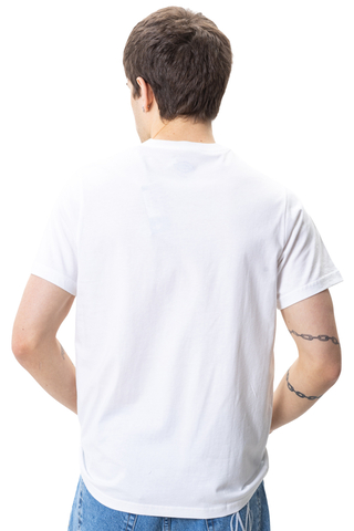 Koszulka Dickies Mapleton