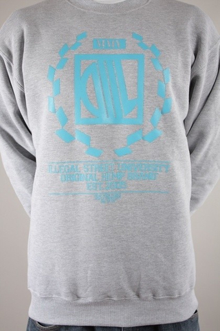 Bluza DIIL LAUR HARVARD