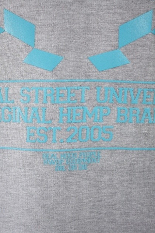 Bluza DIIL LAUR HARVARD