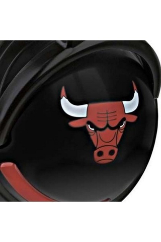 HESH NBA BULLS 1