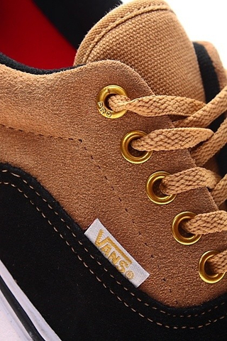 ERA PRO