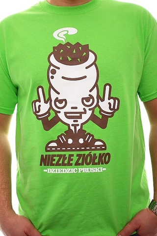NIEZLE ZIOLKO