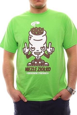 NIEZLE ZIOLKO