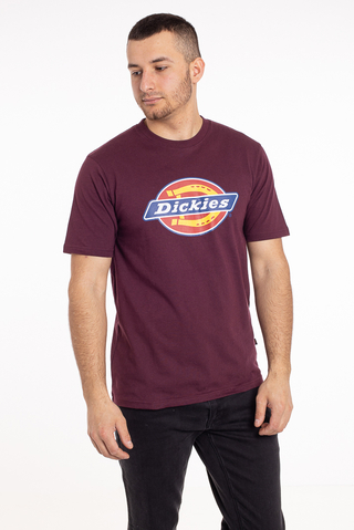 Koszulka Dickies Icon Logo