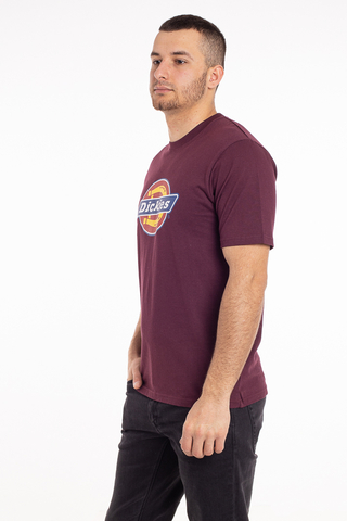 Koszulka Dickies Icon Logo