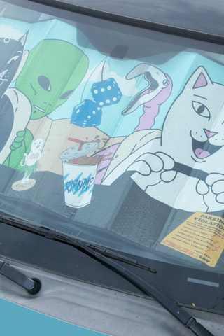 Zasłona na szybę Ripndip Road Trip